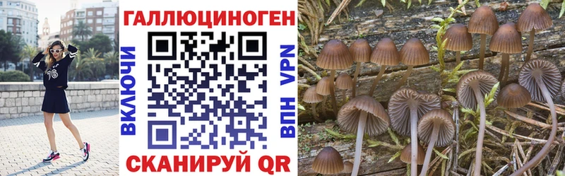 Псилоцибиновые грибы Psilocybine cubensis МЕГА ссылки Нарткала
